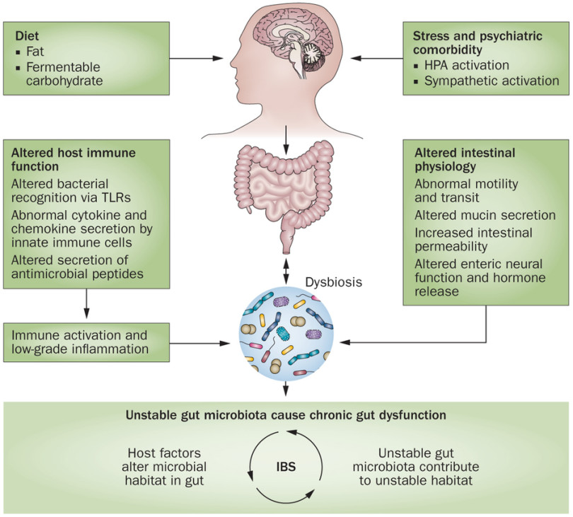 Dysbiosis causes